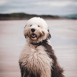 Eric Photo 1 in review by Kelly Margerison