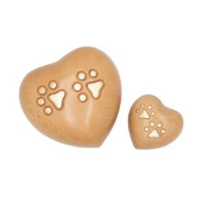 amberley heart group (web size)