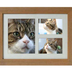 Maxi Oak Tribute Frame