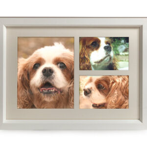 Maxi White Tribute Frame